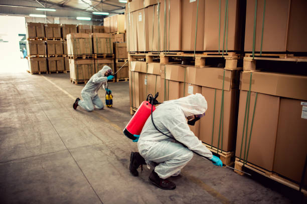 Best Affordable Pest Control Services  in Stedman, NC