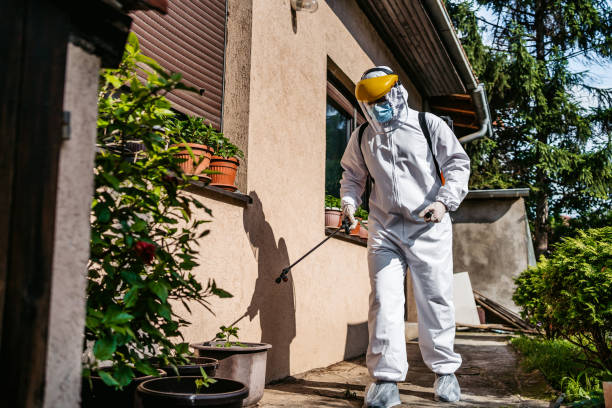 Best Local Pest Control Services  in Stedman, NC