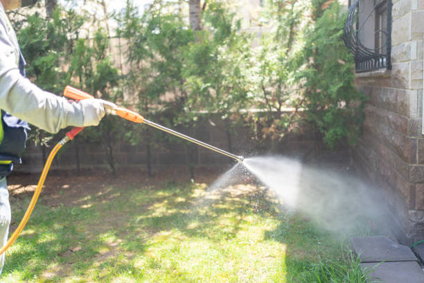 Best Cockroach Control Services  in Stedman, NC